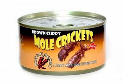 strange-canned-foods-04.jpg
