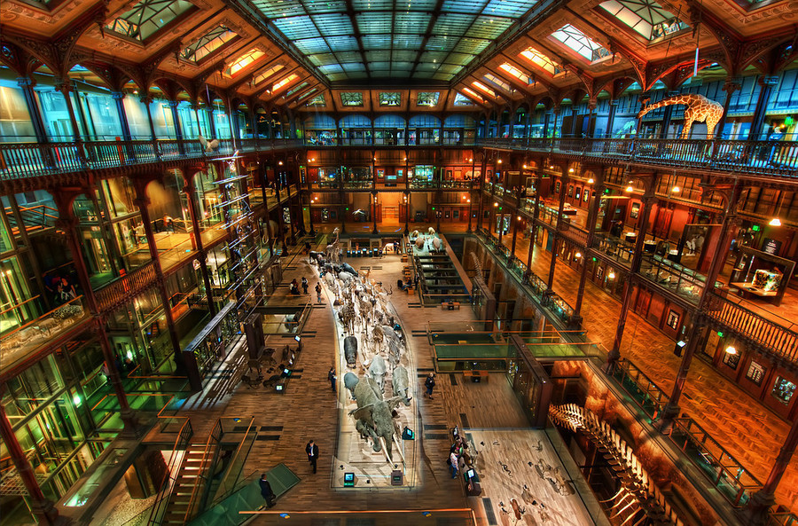 The-Secret-Lair-of-Jules-Verne-900x593.jpg