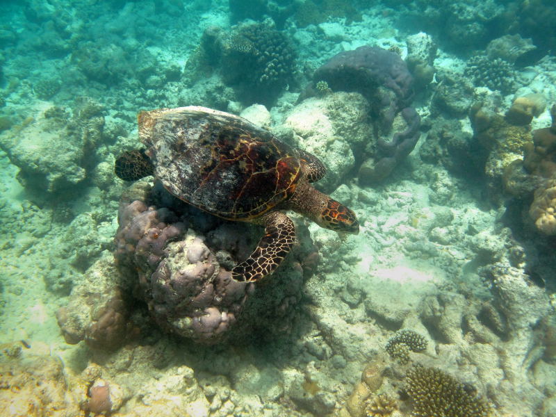 20091209_af1b741ceddbc0e2b9fdlbjgnZy8lOhQ.jpg