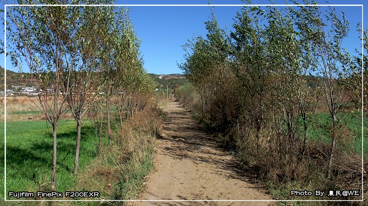20091123393.jpg