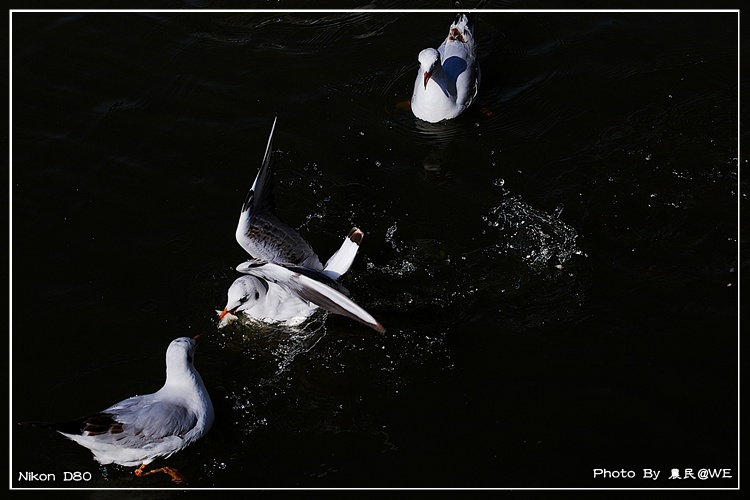 20091201151.jpg