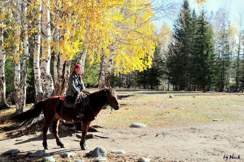 20091108_50ae10bde85a54ced4fcT6ZbuwaXK3hI.jpg