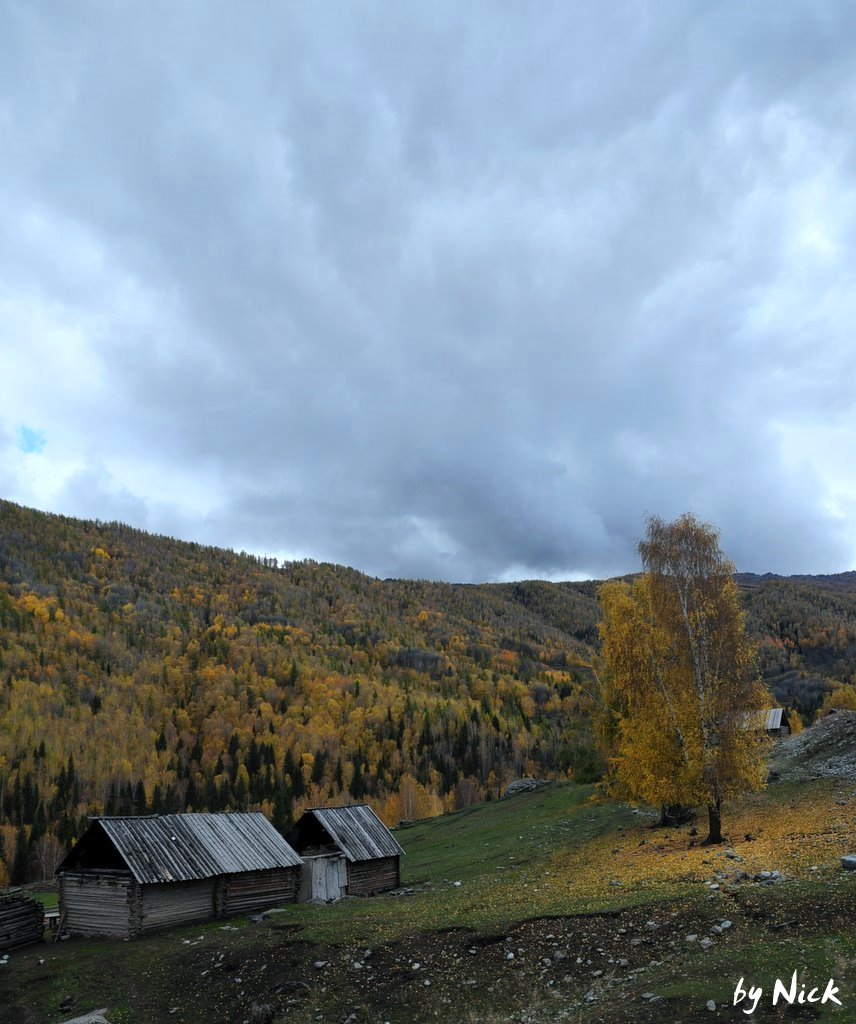 20091108_9722d17a8f892e035f284FTvFHfPmSVu.jpg