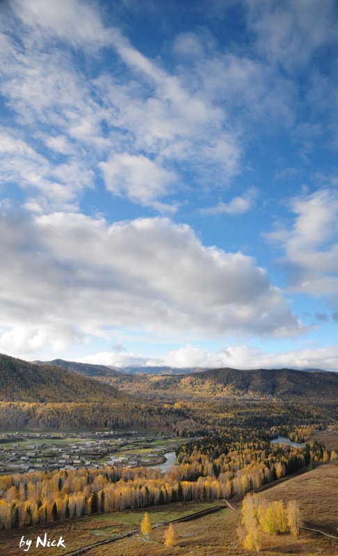 20091108_ab1c5a0d9b0bfaaa3f15IfgN96uzw8uq.jpg