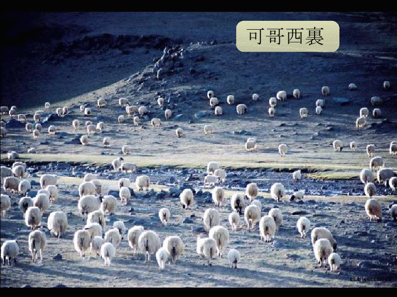 gview_031.png