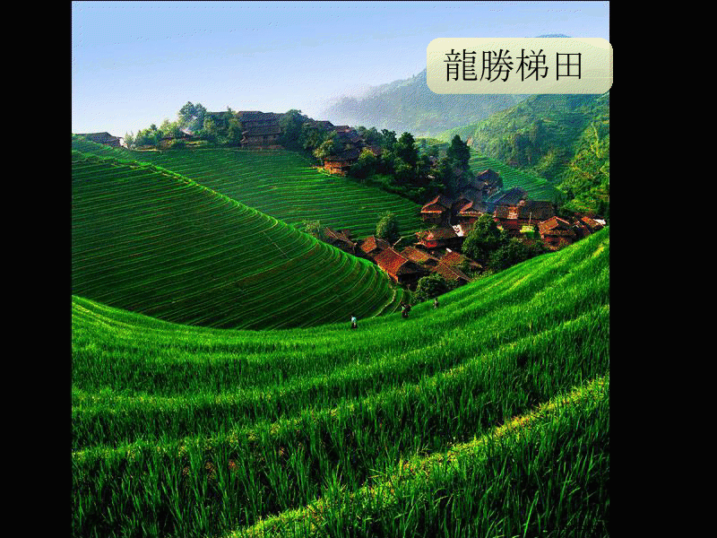 gview_032.png