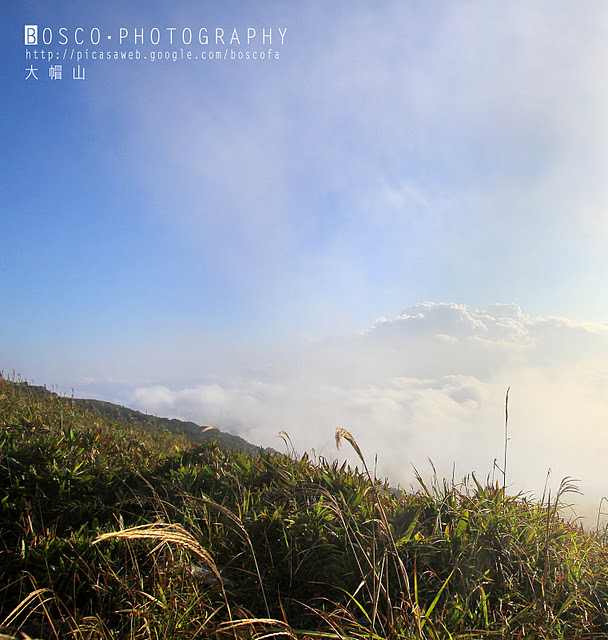 大帽山21.jpg