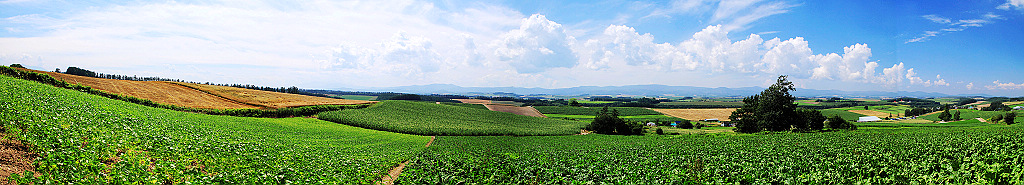 20090902_4317994ff613541eca122MFgiV59A905.jpg