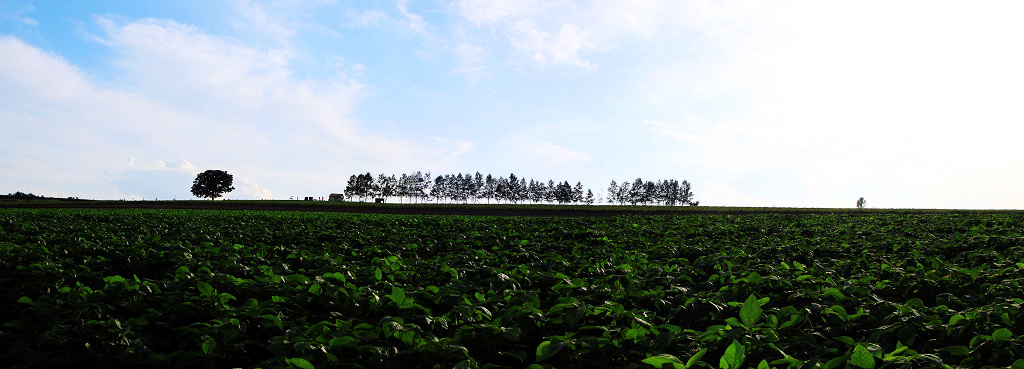 20090902_790eb3c9e94515e0c5a2srbzVLVJSIam.jpg