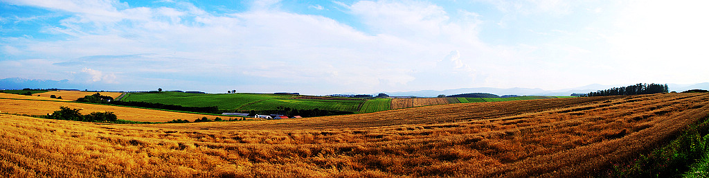 20090902_7ba9a1a8acd457017cc39jgLbWhySlYi.jpg