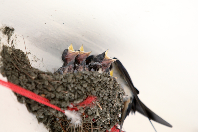 20110113_dcf422b1890d7d5f495f2wghC90jLAAW.jpg
