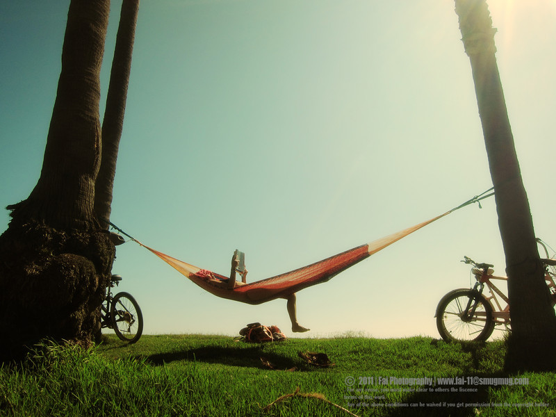IMG1167-L.jpg