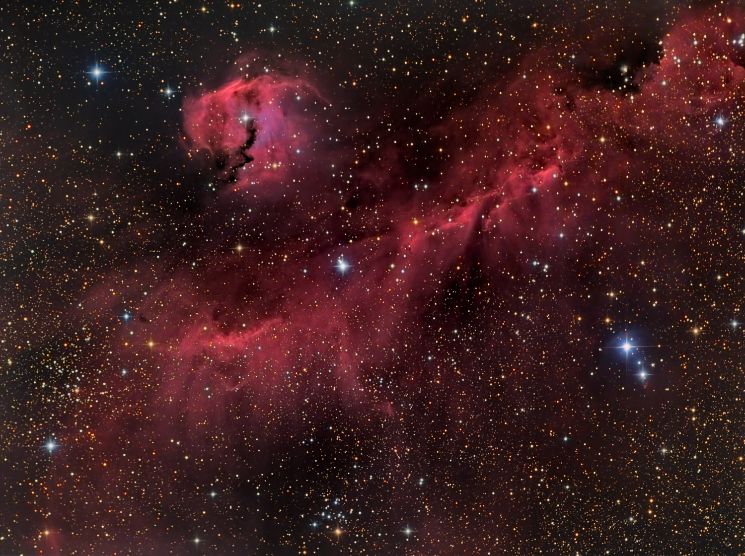 IC2177Seagull_boren1500.jpg