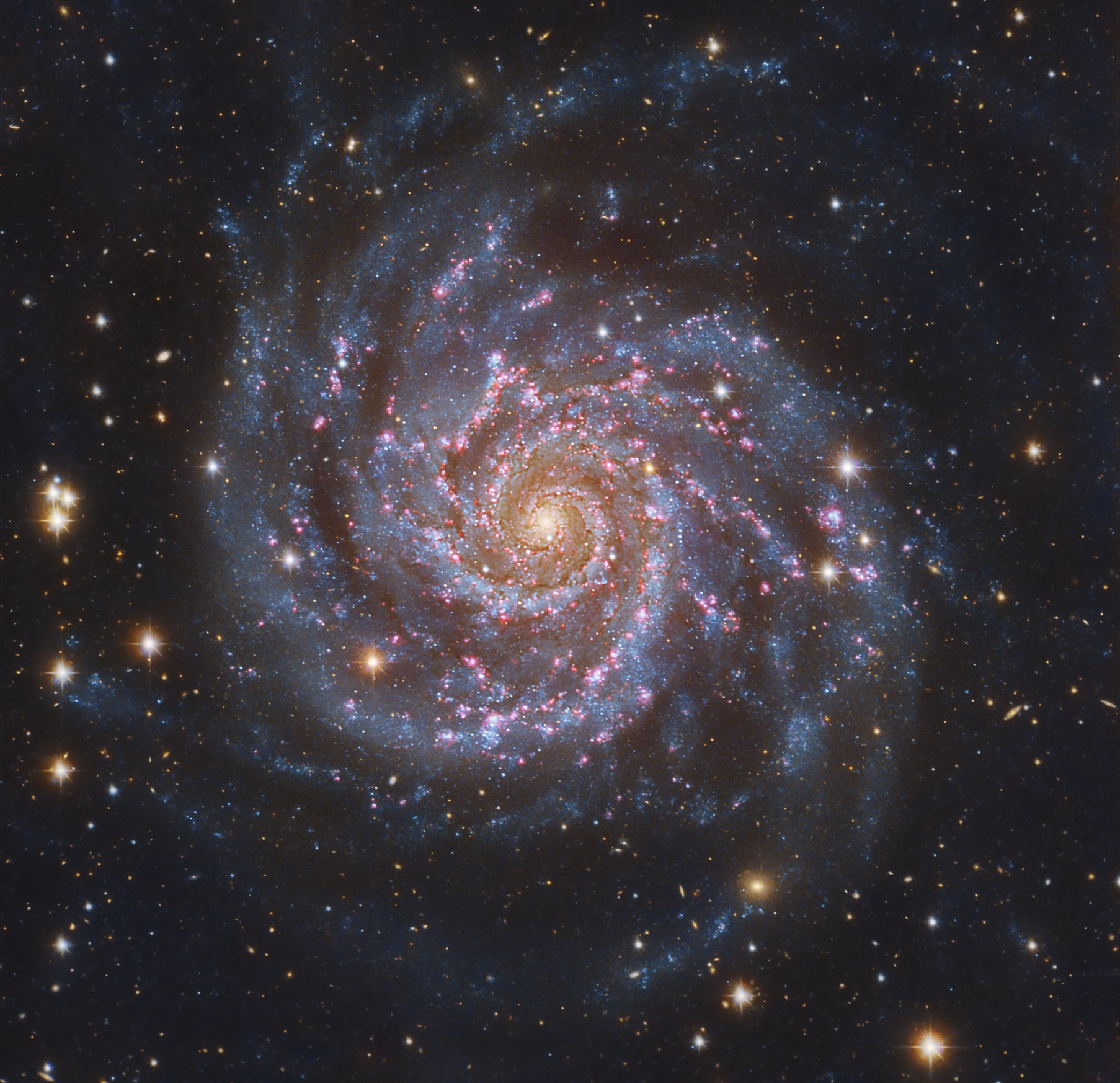 m74_baixauli_1806.jpg