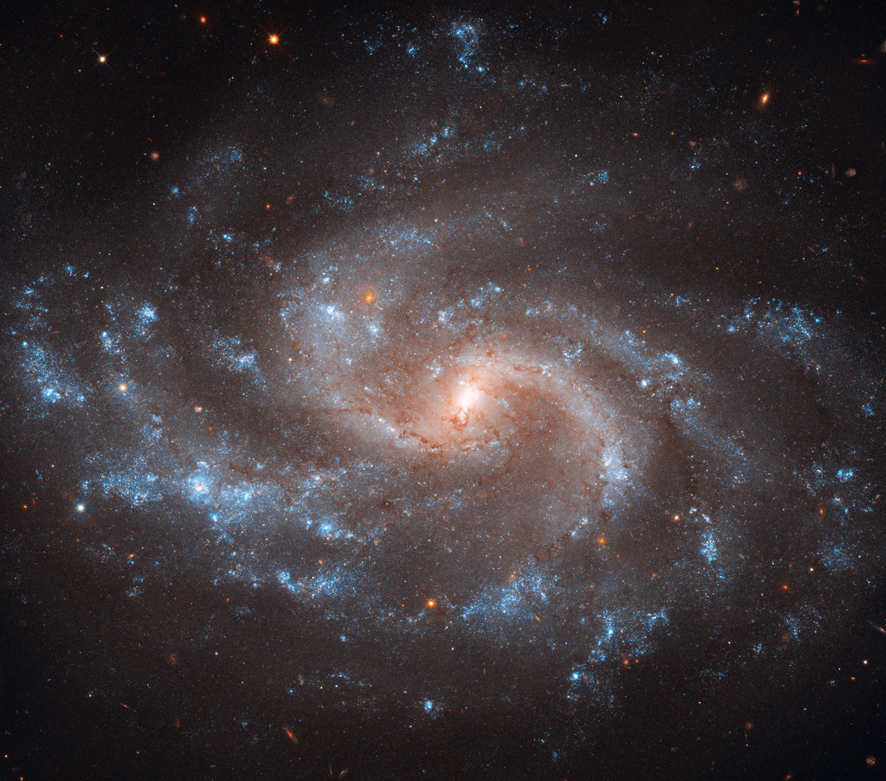 ngc5584_hstr.jpg