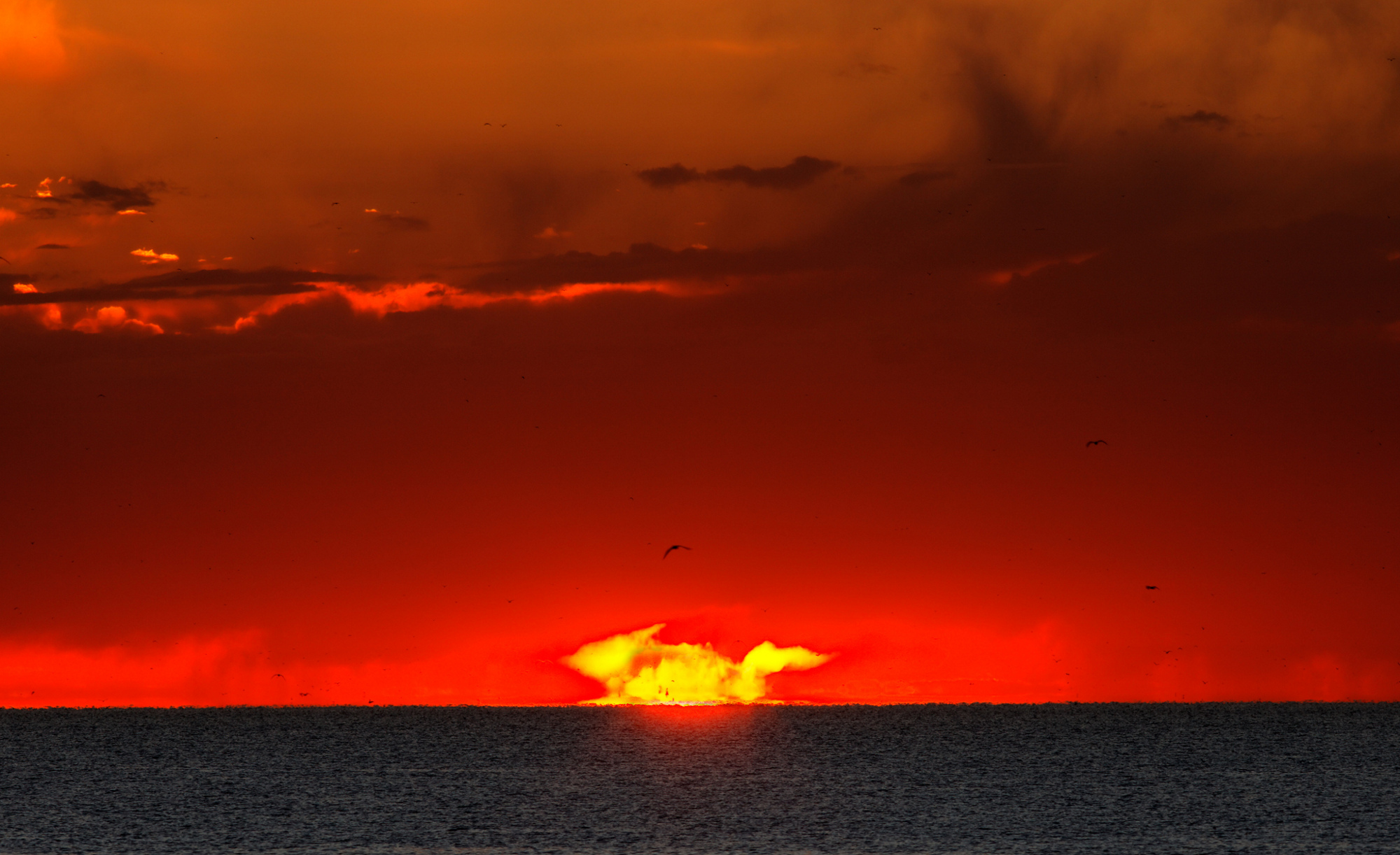 strangesunrise_argerich_2000.jpg