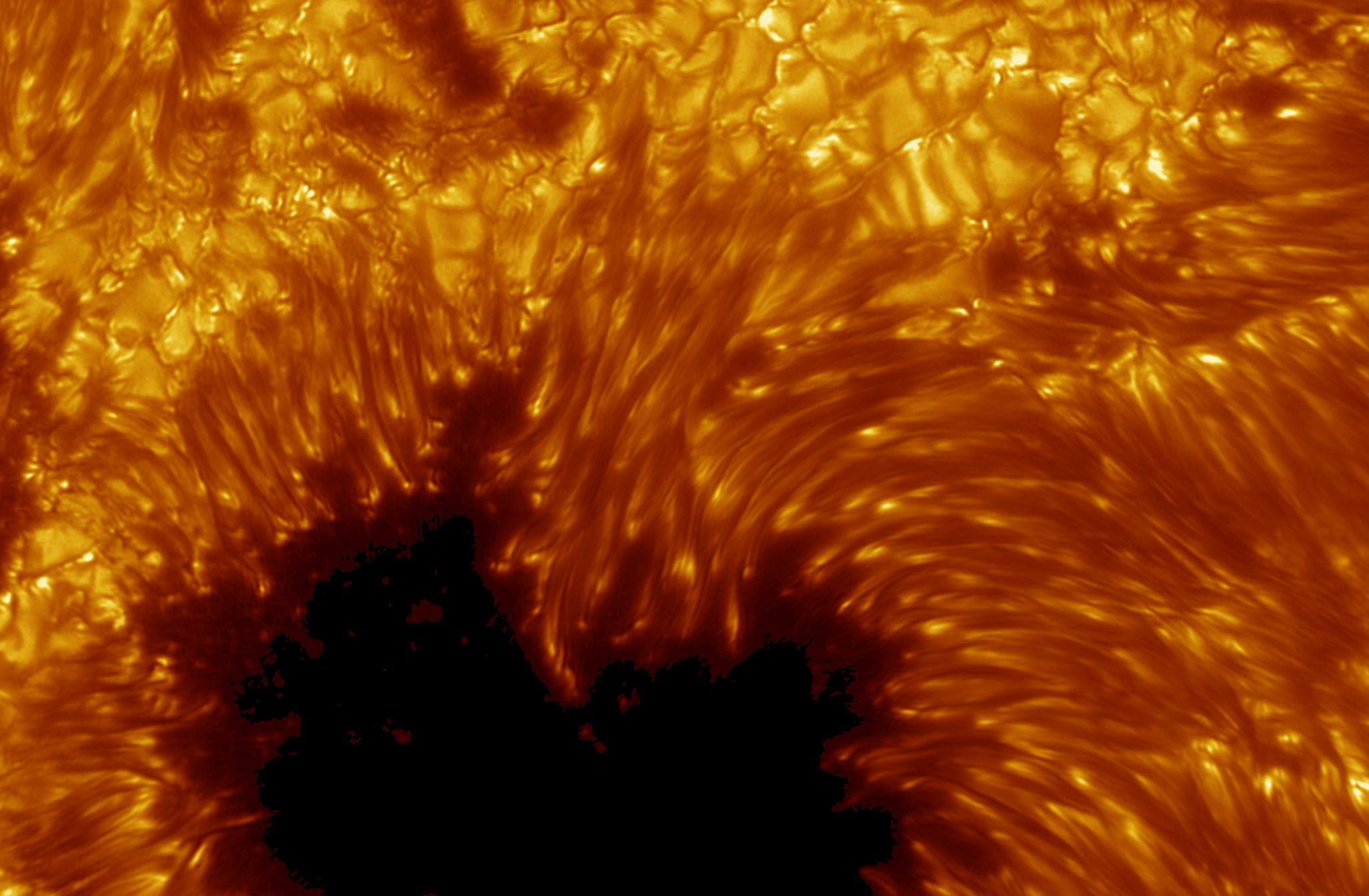 sunspot_sst_2054.jpg