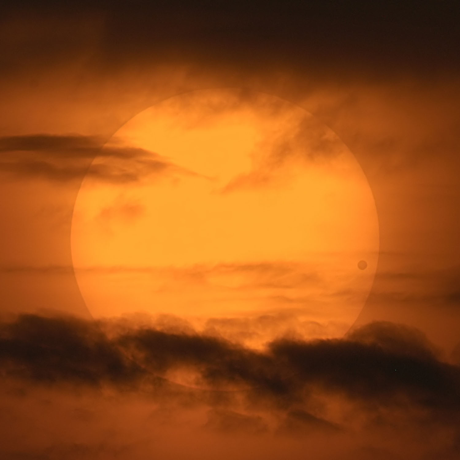 venustransit_cortner_1500.jpg