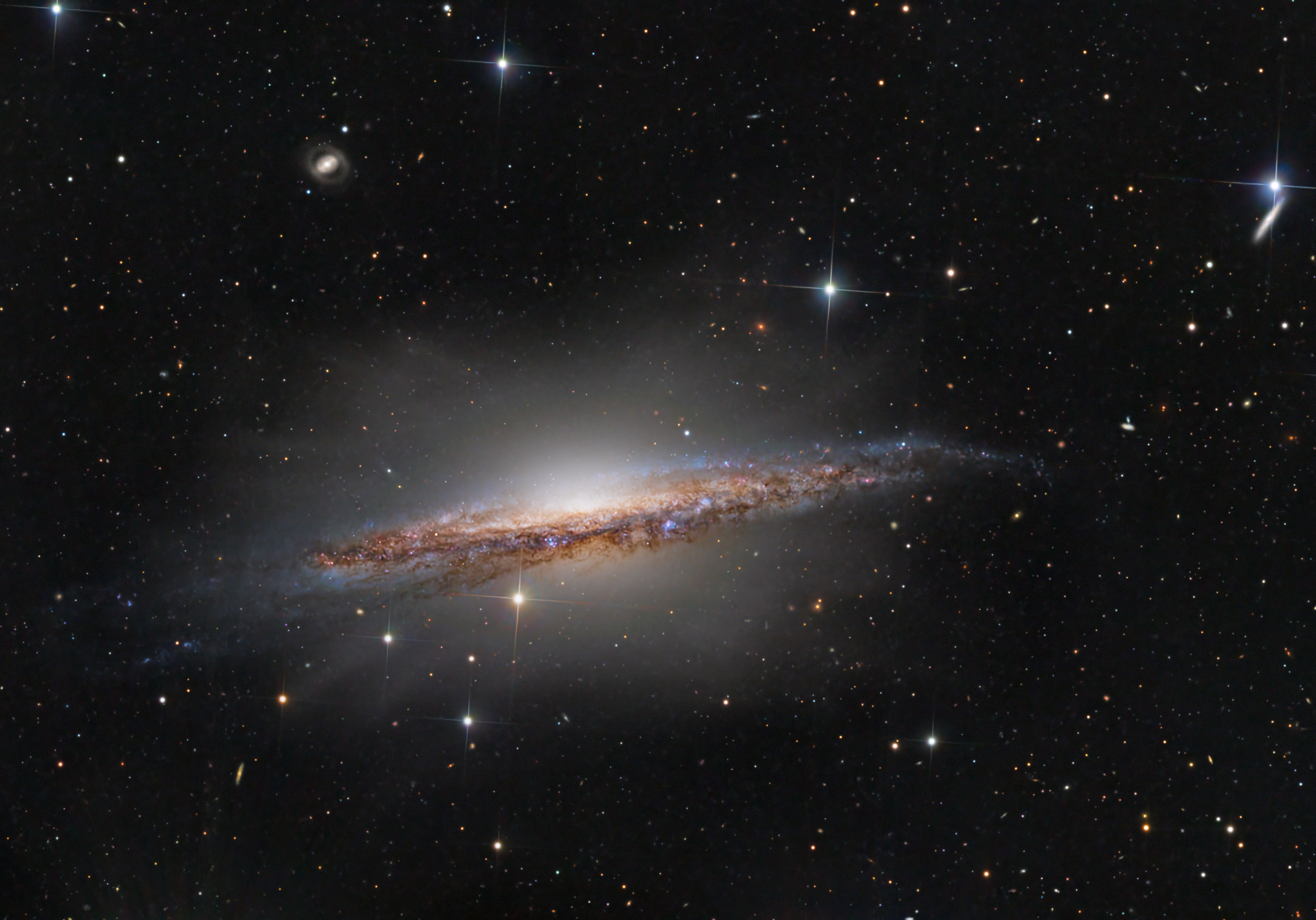 NGC1055JohnHayes.jpg
