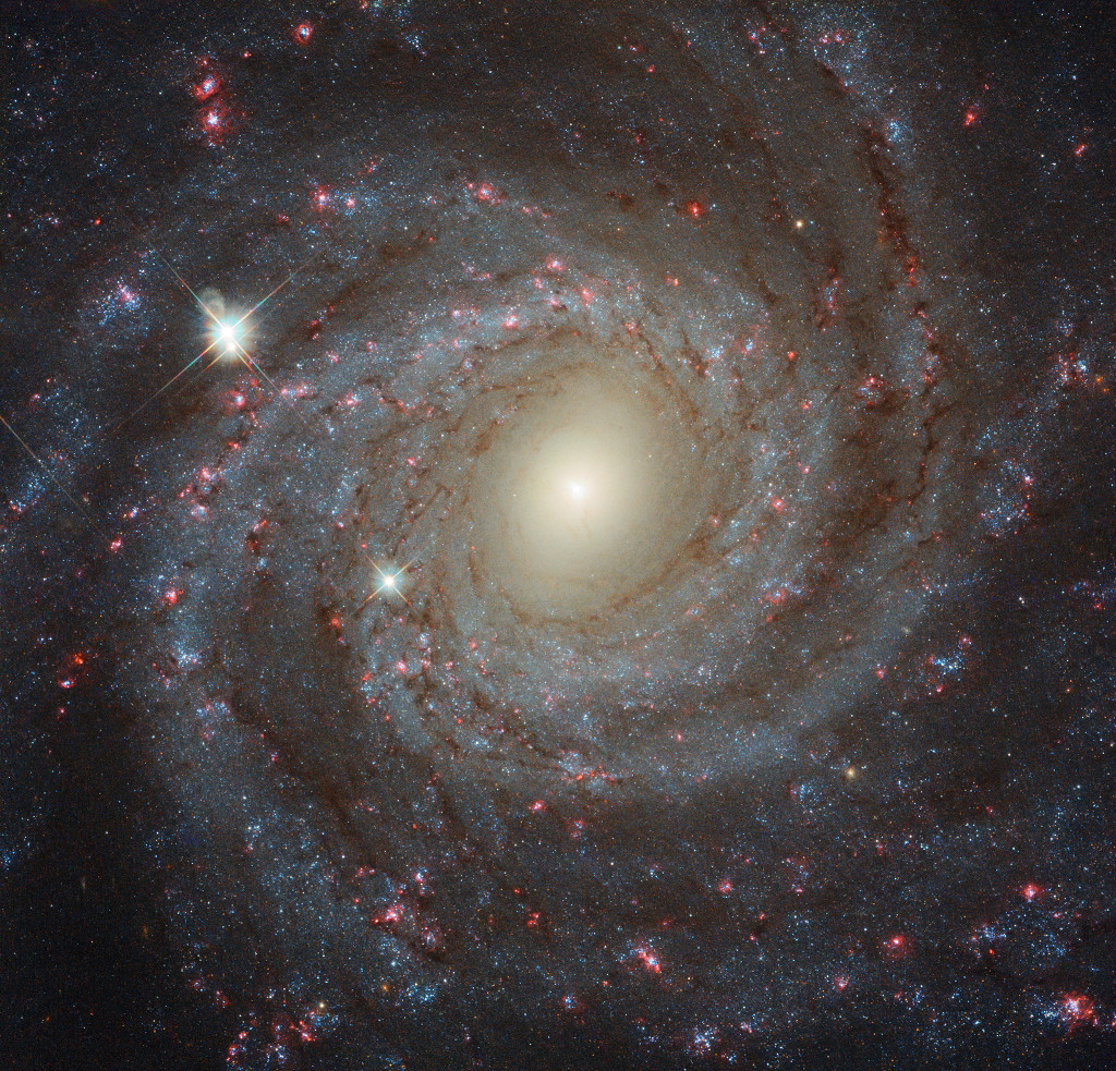 NGC3344_hst1024.jpg
