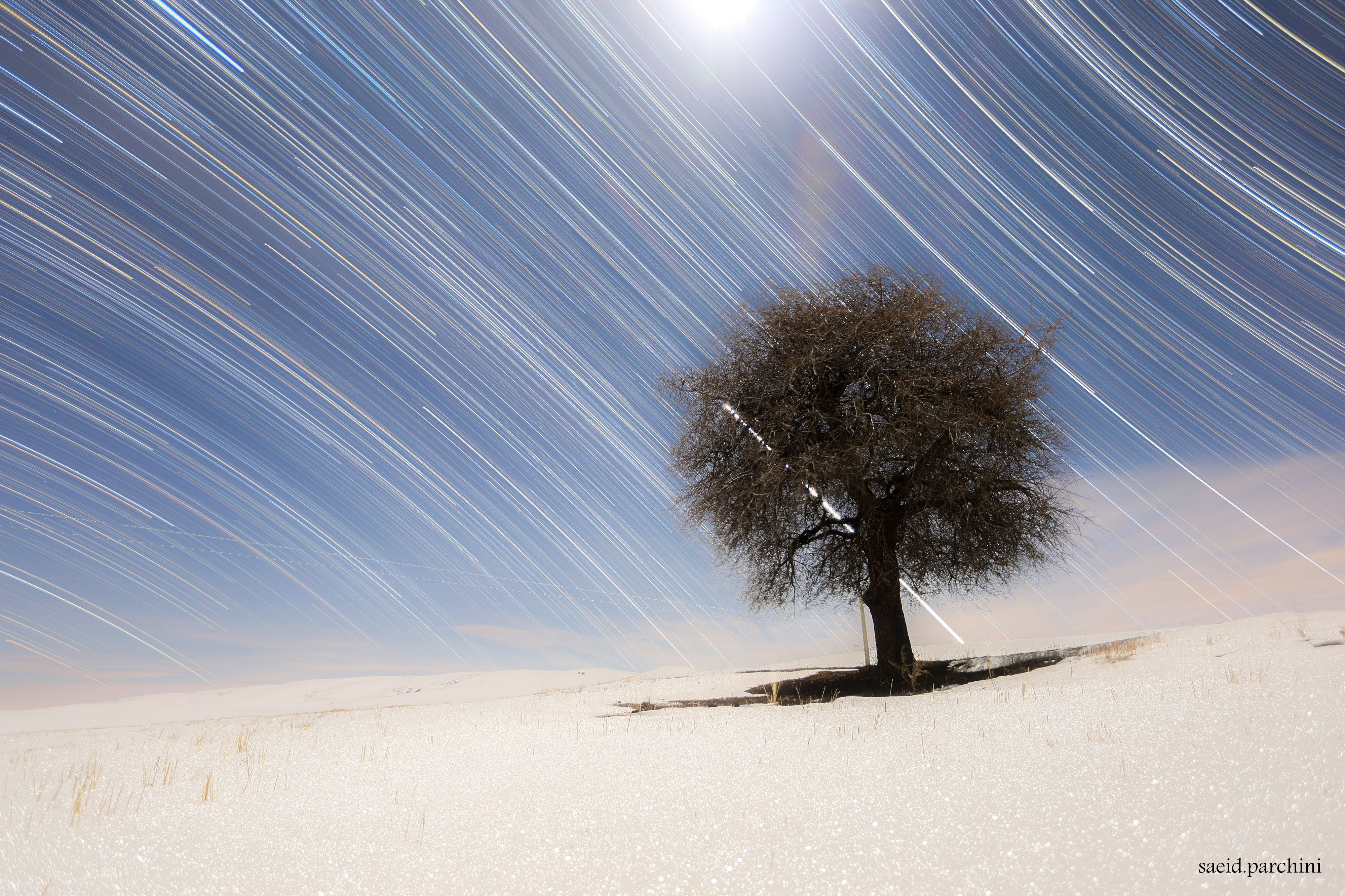 StarTrailsTree_Parchini_4000.jpg