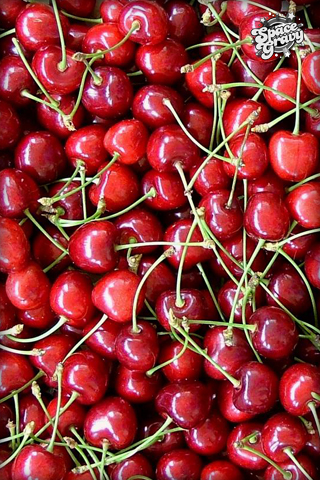 Cherries.jpg