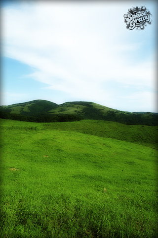 hillside.jpg