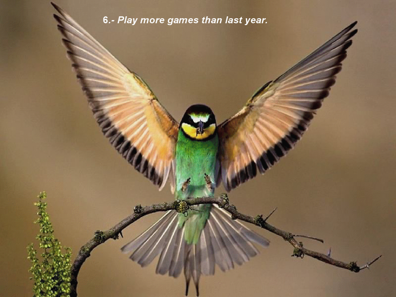gview_006.png